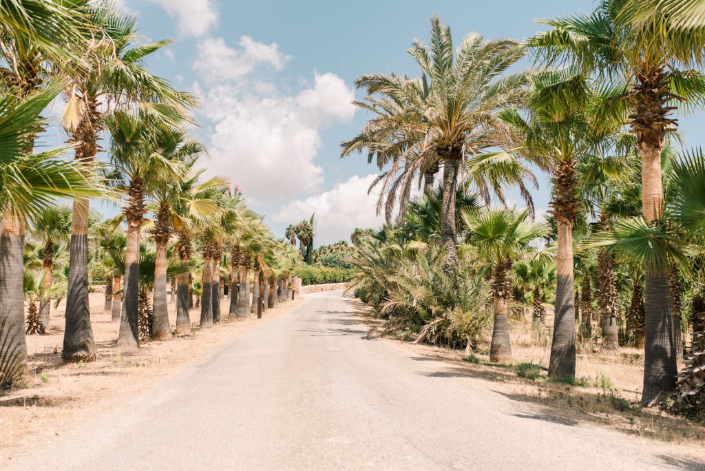 Wedding Photographer Mallorca