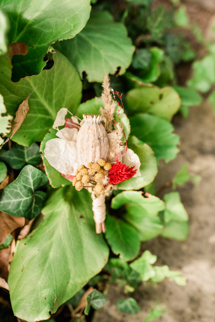 Hochzeitsreportage in Radebeul